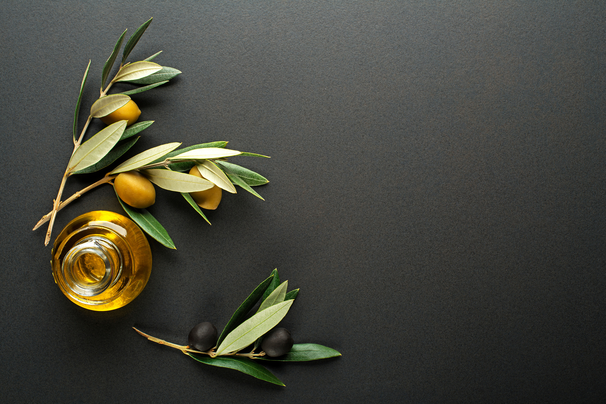 Olive oil and olive branch